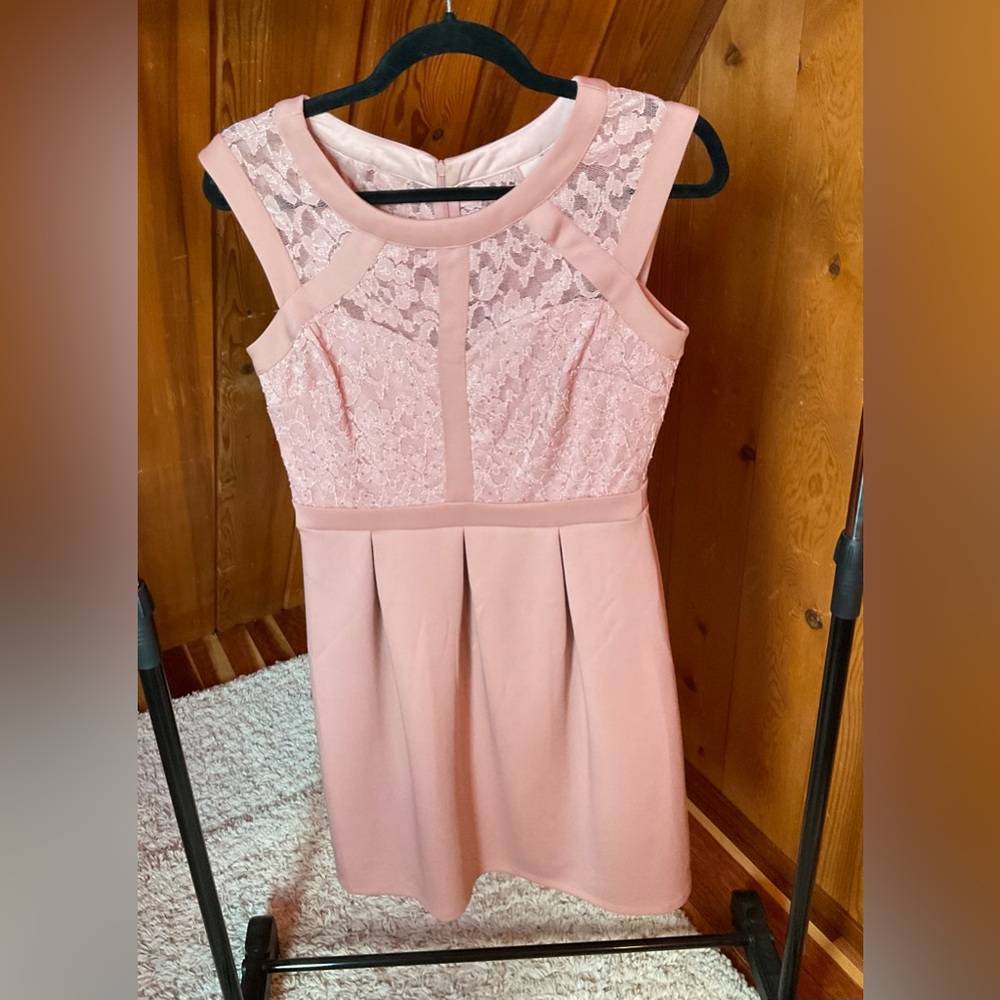 Enfocus Studio Pink Pleated Sheath Dress